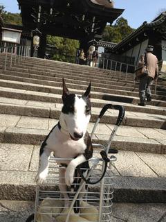 お墓参り.jpg