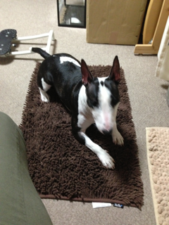 image-20130603233648.png