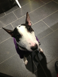 image-20130730104400.png