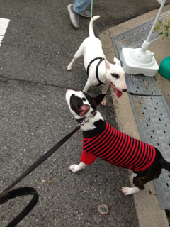 image-20130730104422.png