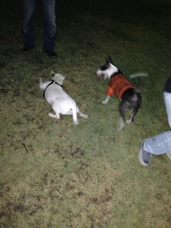 image-20130730104521.png