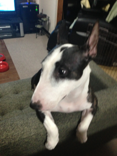 image-20130730104535.png