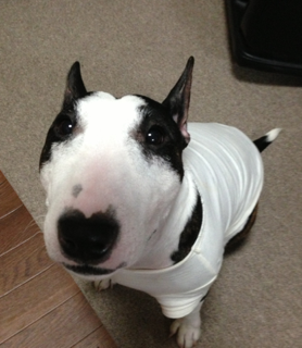 image-20130730104551.png