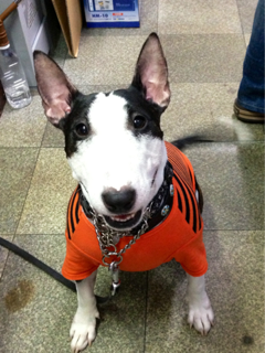 image-20130902222313.png