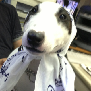 image-20130902222429.png