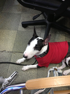 image-20130902222512.png